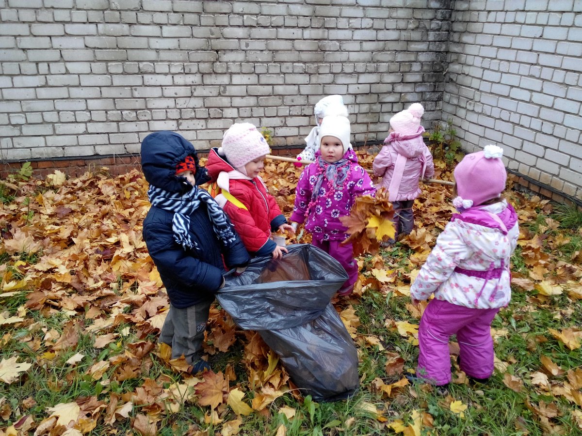 Труд в жизни ребенка